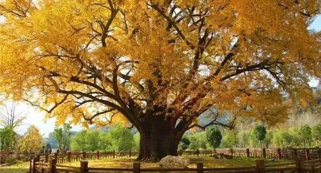 5分钟教你玩转湖北，端午小长假攻略请收好！