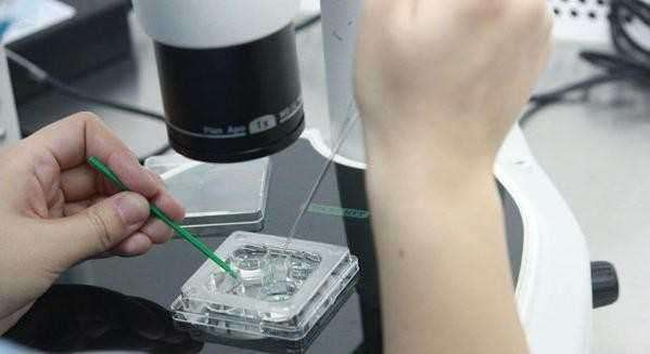 揭秘：人工取卵全过程看着都羞羞脸