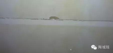 瓷砖脱皮是质量问题吗,瓷砖脱皮怎样修复