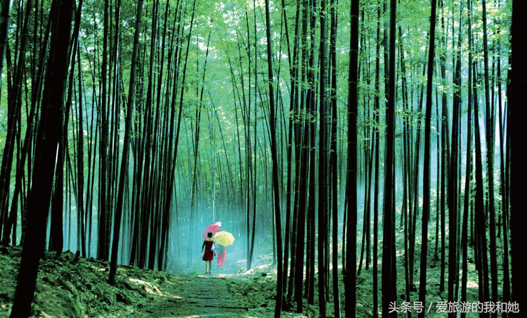 江苏省市级旅游景区有什么,江苏全域旅游区