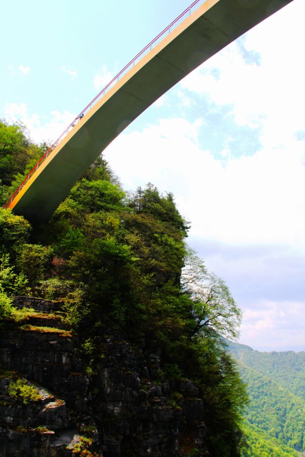神农架有几个洞,神农架有一个神秘的深谷