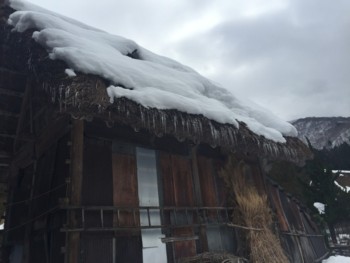 日本的冬日暖阳,日本的冰雪世界