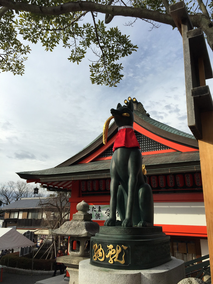 日本的冬天依旧色彩绚烂,冬季日本的冰雪阳光