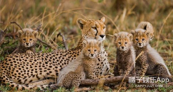 笑容引起的法令纹怎么解决,怎么样的笑容可以改善法令纹