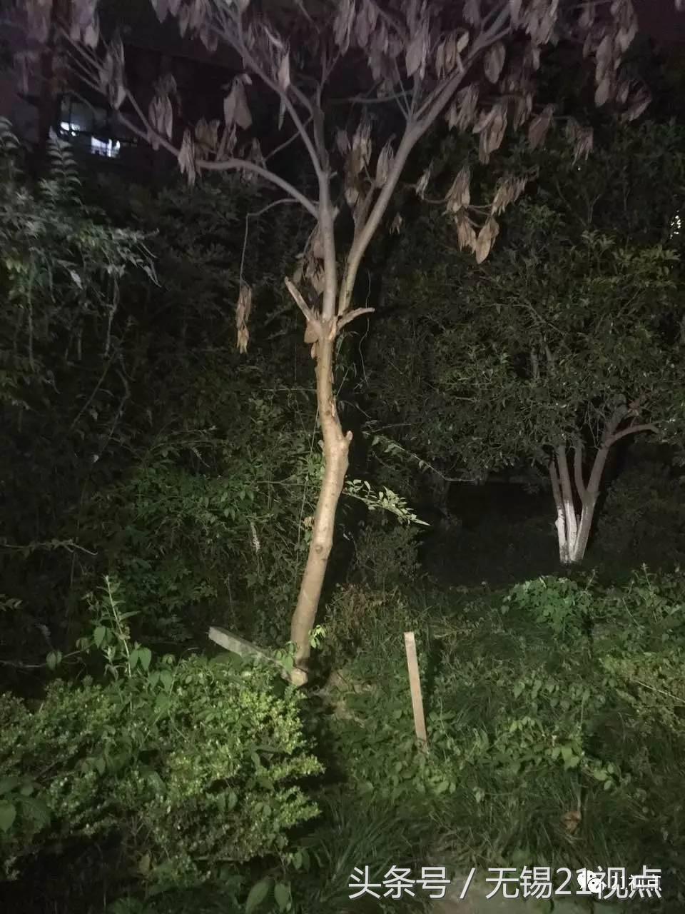 不满物业管理业主堵门,不满物业管理应该向哪个部门投诉