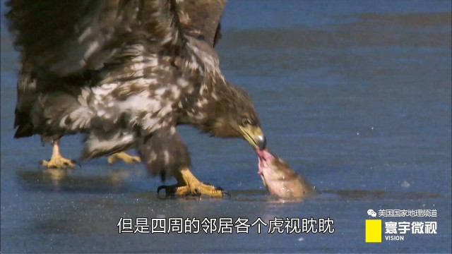 瀵板畤寰瑙ｆ瀽,瀵板畤寰