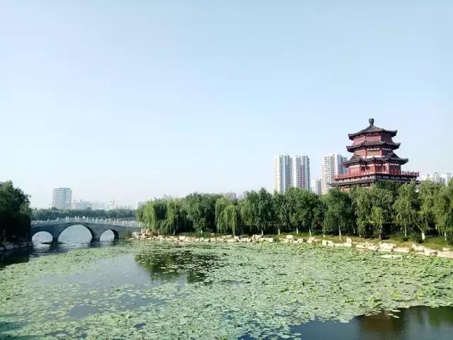 鎬濋攼鎵嬫満鎽勫奖澶ц禌,鎬濋攼鍏夊鎵嬫満鎽勫奖澶ц禌