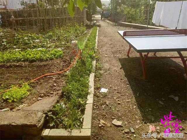 推荐几家蓟县梨木台农家院,梨木台董佳农家院抖音团购