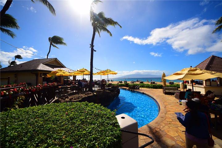 骨灰级探险视频,水上运动场夏威夷maui岛浮潜