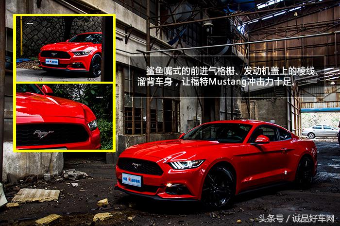 没有奔跑在草原的野马，成了男人心口的朱砂痣