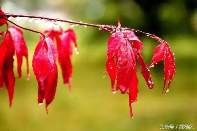 瘦西湖优惠门票多少钱,瘦西湖门票优惠政策最新