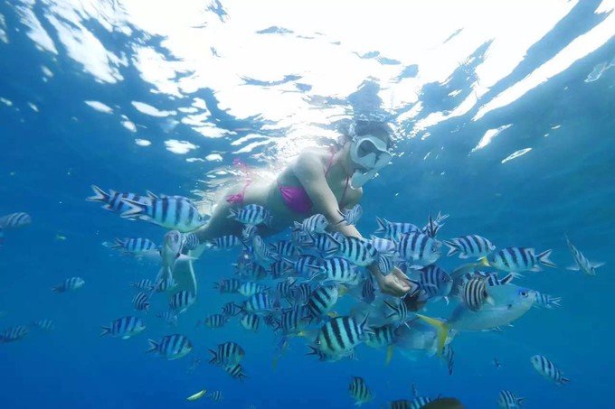 带着思念去海边,带着思念期待下一次再见