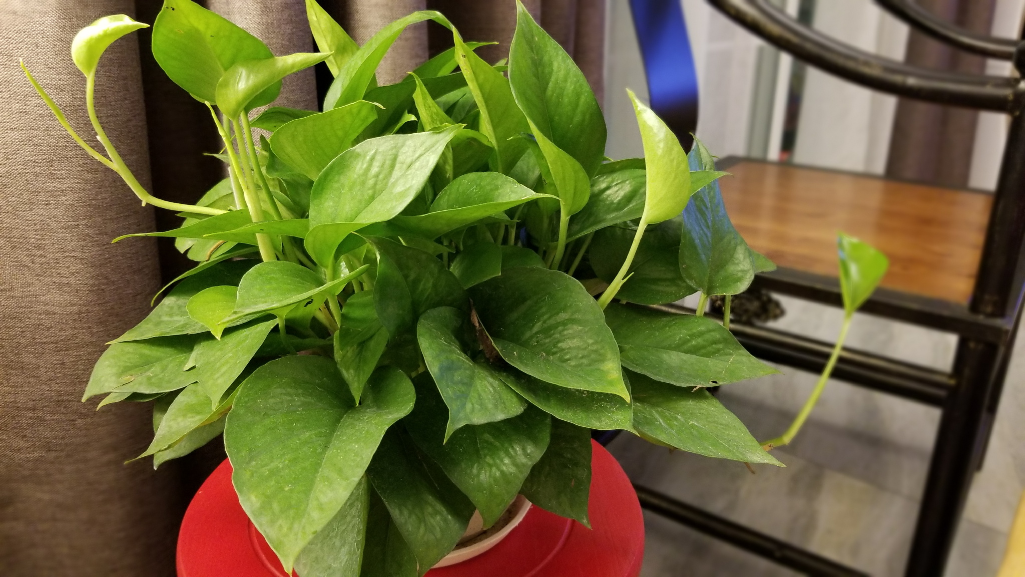 三星s8+测评官方,三星s8国行和港版有区别吗