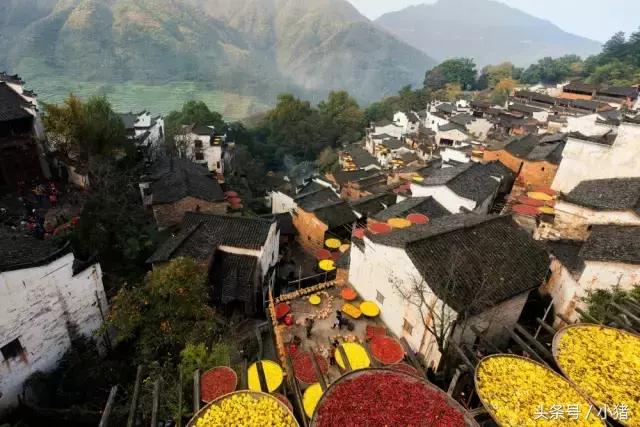 关关谢童打卡篁岭,关关和谢童去婺源是哪一集