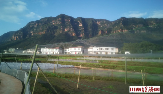 泸州：叙永红村青蛙唱响致富路