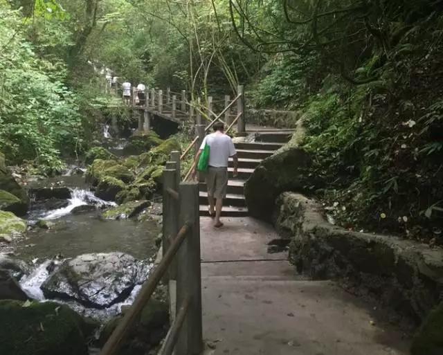 成都周边免费森林自然景点,成都森林避暑好去处