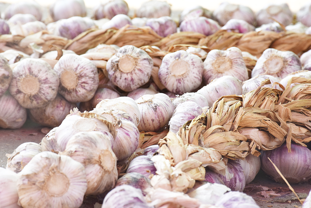 经典海鲜摄影图片,鲜活海鲜摄影技巧