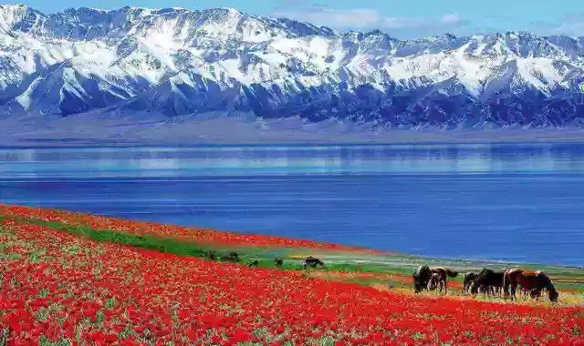 新疆南北疆大环线风景旅游专列,北京去新疆沿途风景