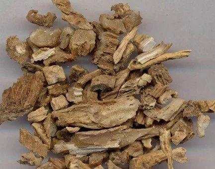 东东画眉鸟套,东东画眉鸟饲料