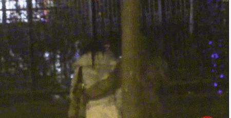 陈红在春光灿烂猪八戒中扮演的谁,陈凯歌老婆陈红春光灿烂猪八戒