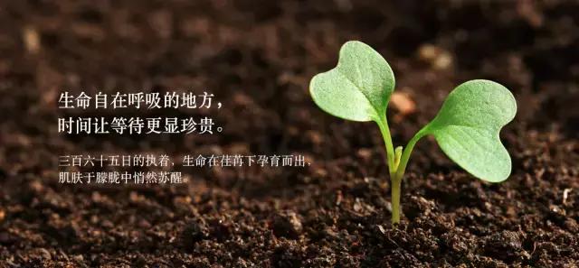 为什么妈妈选择吸奶器吸奶,哺乳期妈妈为什么不能吸烟