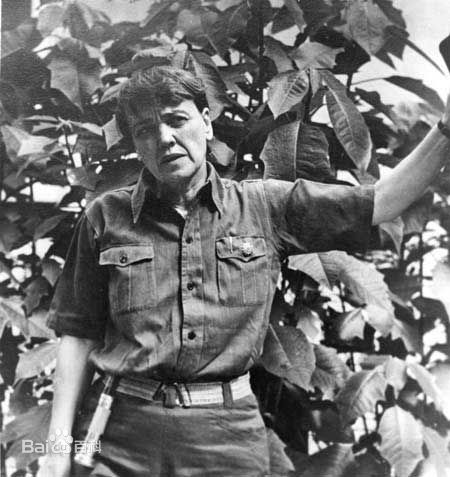 鲁迅个性主义和人道主义,鲁迅一生的写照名言