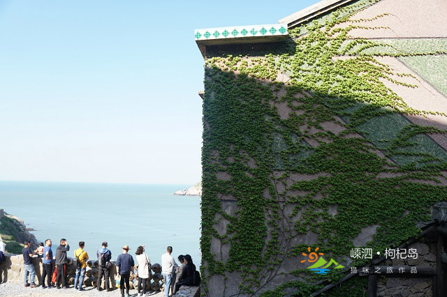 什么时间去枸杞岛最好,冬季坐船去枸杞岛