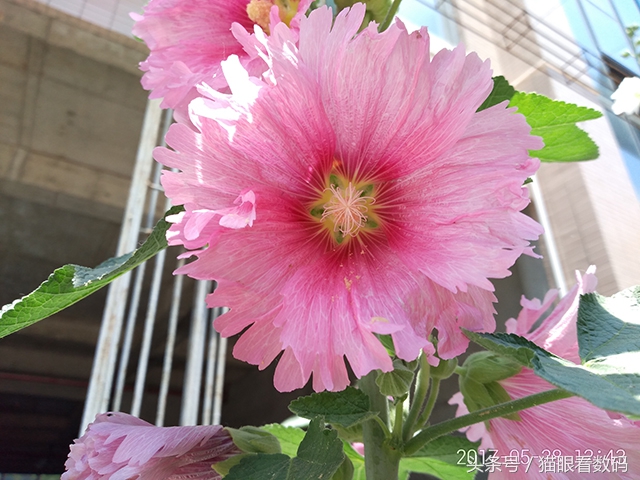 360手机n5s深度测评,360n5s特色