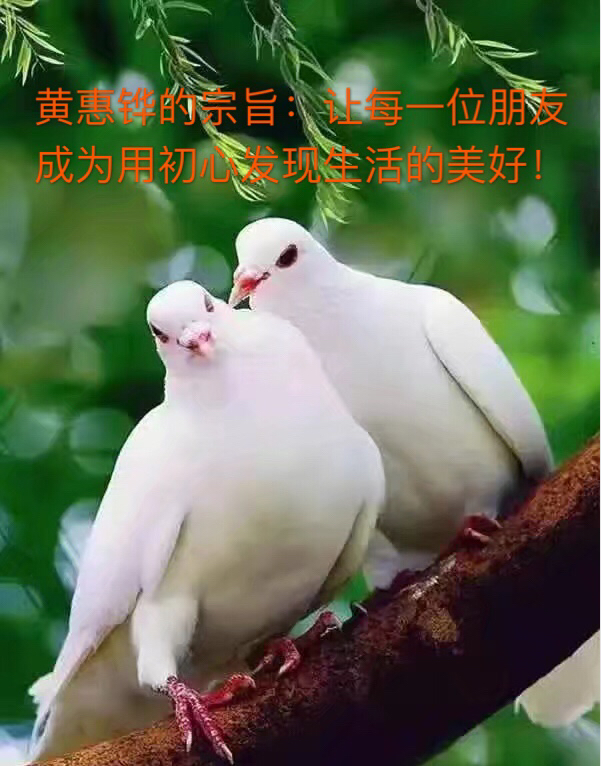 儿童营养讲解,儿童营养健康讲解