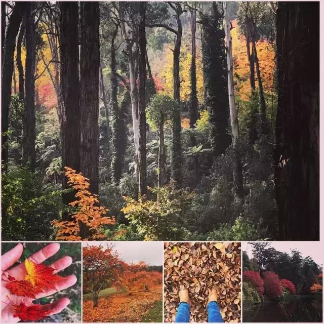 品位好的你，请进来一下