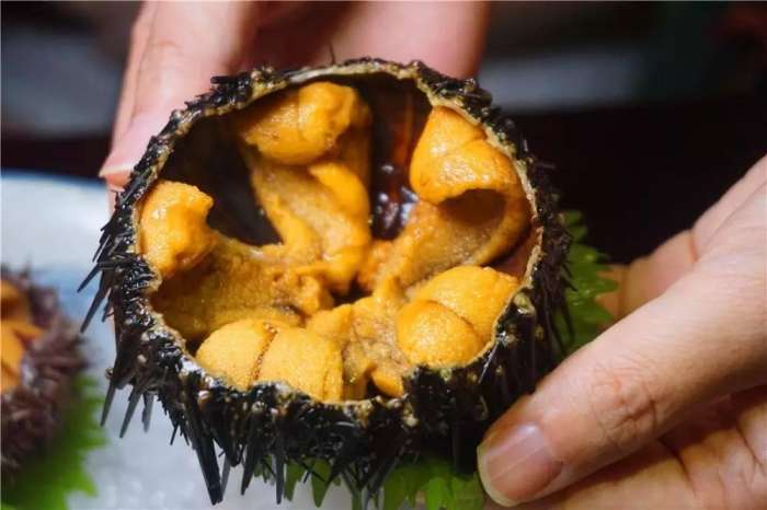 所有的美好都藏在不经意间,日式顶级活造刺身料理等你来寻味!