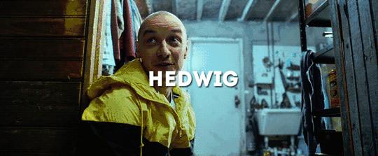 真实案件改编15岁女孩被人绑架,根据真实事件改编女孩被绑架10年