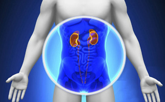 出现这一症状要当心可能是慢性肾炎的早期症状