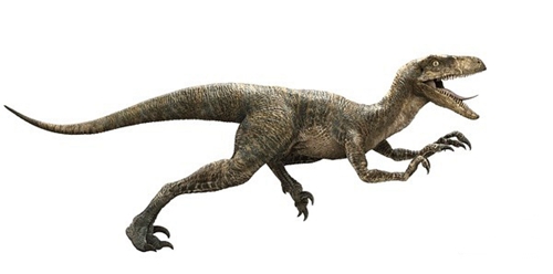 恐龙危机恐龙种类,恐龙介绍恐龙百科全书