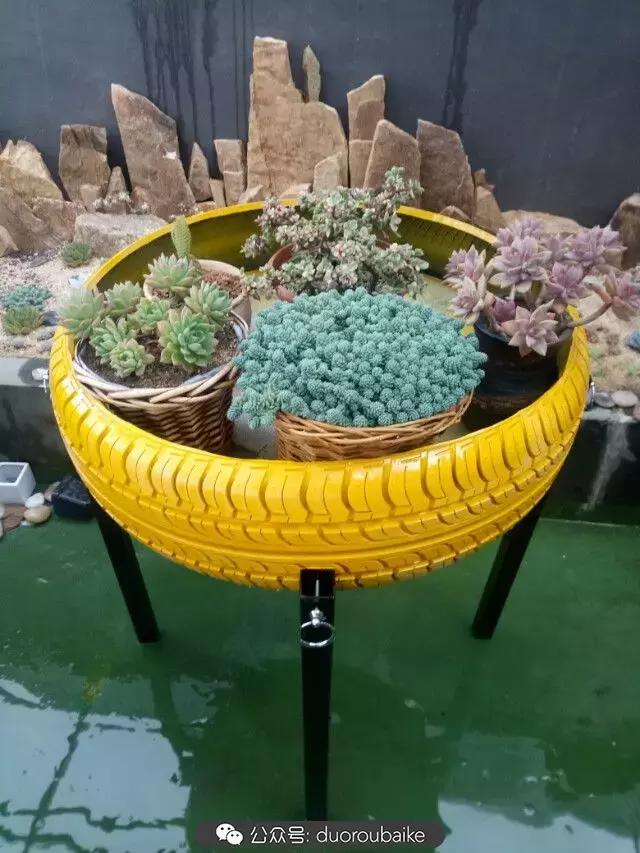 用多肉做花的方法,多肉植物自制方法