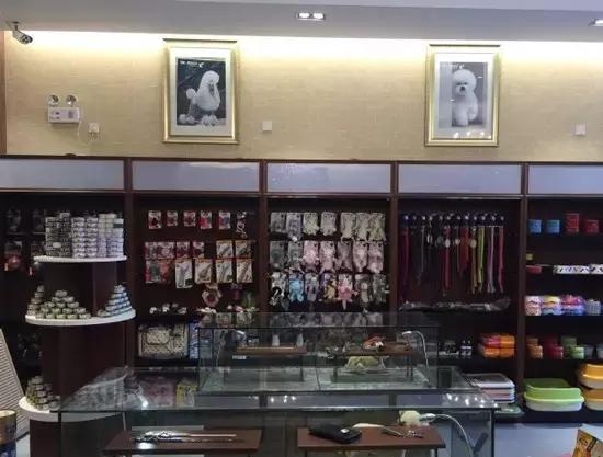 活得不如狗系列之，宠物酒店！