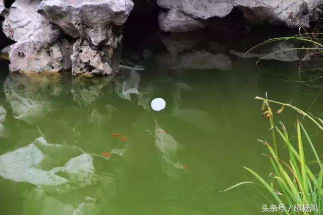 瘦西湖优惠门票多少钱,瘦西湖门票优惠政策最新