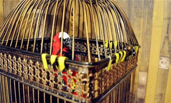 武汉密室逃脱多少钱,武汉适合情侣玩的密室逃脱主题