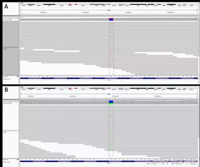 余永国儿科学博士,余永国教授