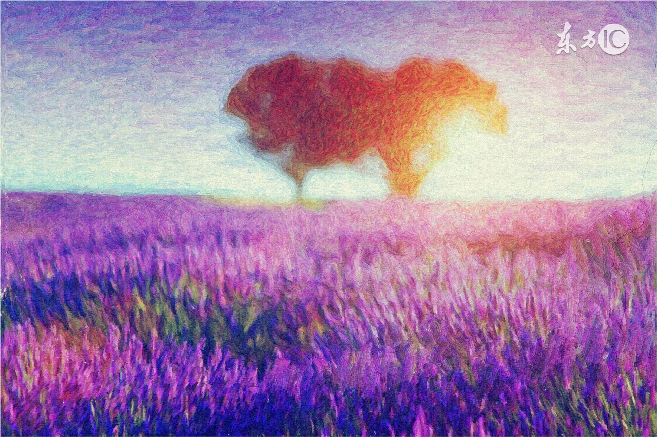 薰衣草之乡浪漫的地方普罗旺斯,普罗旺斯薰衣草庄园游玩