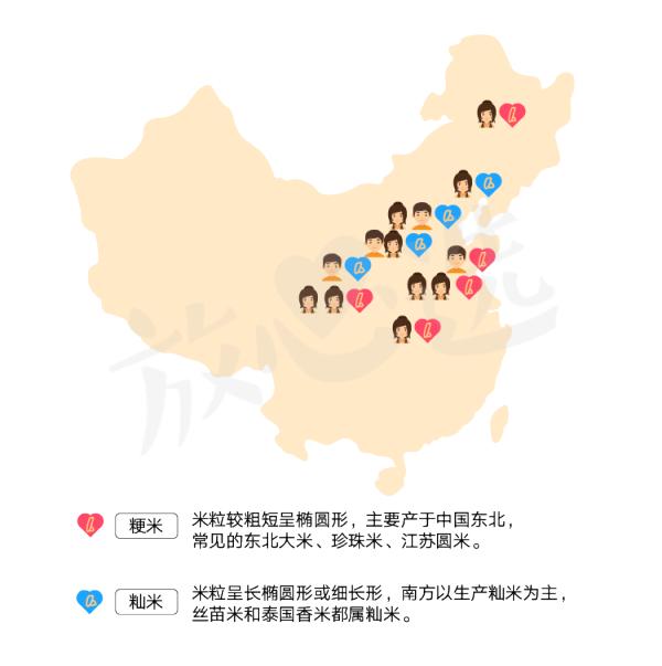 探知不为人知的秘密,电饭锅的秘密探究记录