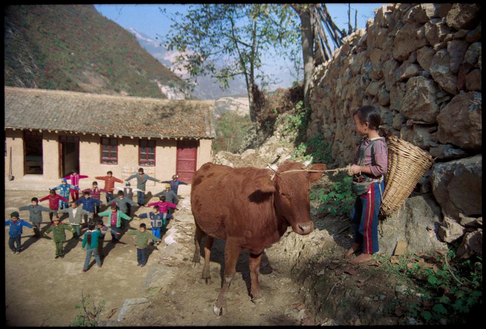 15岁孩子自卑胆小怎么办,总是自卑不自信还胆小懦弱怎么办