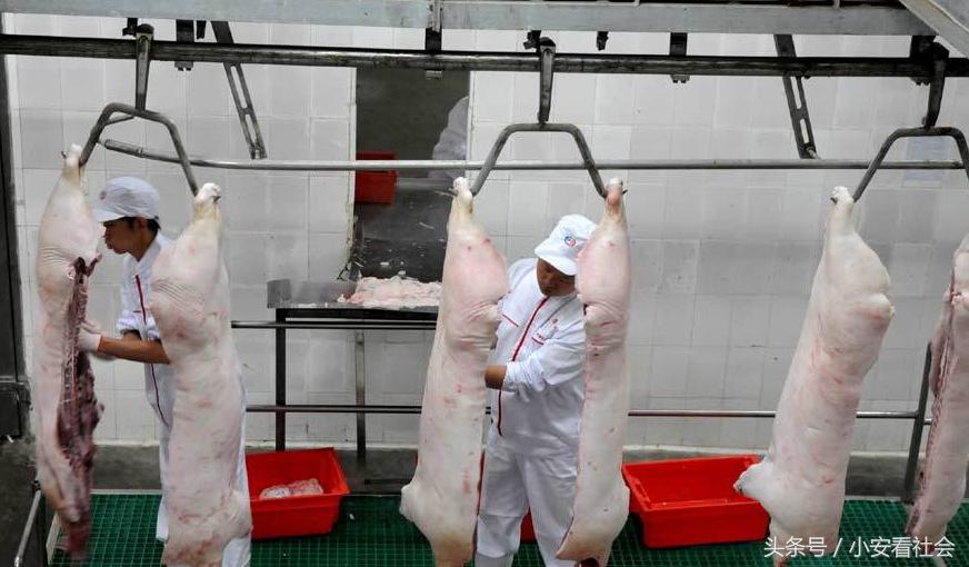 农村孩上完大学在双汇上班，有多少的心酸和无奈？