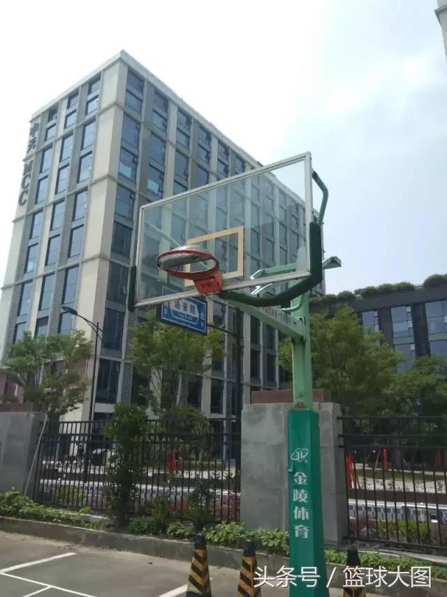 还是大妈的胜利！洛阳球场打人事件有了结果，可却寒了所有人的心