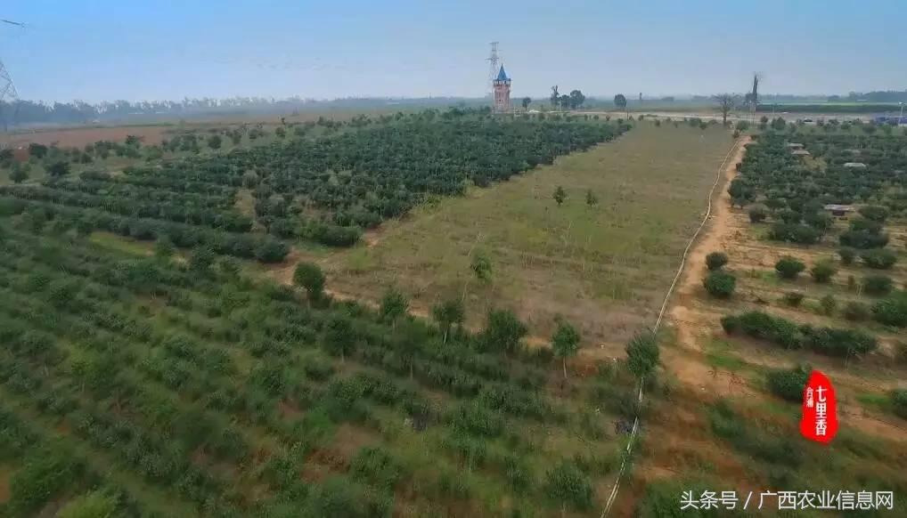 广西苏式园林,合浦周边园林