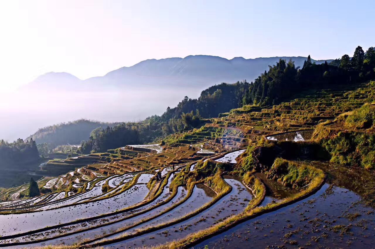 云和梯田日出云海景点攻略,梯田日出云海美不胜收