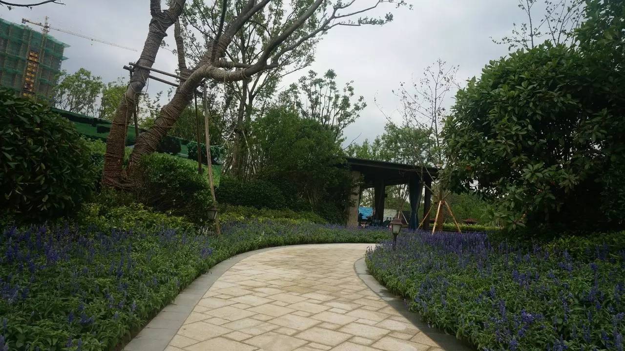 合肥中海央墅多少钱一平,合肥中海央墅