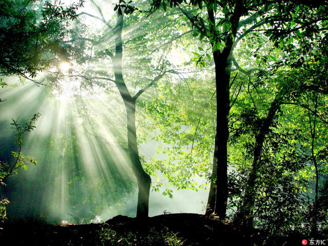 贵州贵阳未来15天空气质量,贵阳的空气质量怎么样