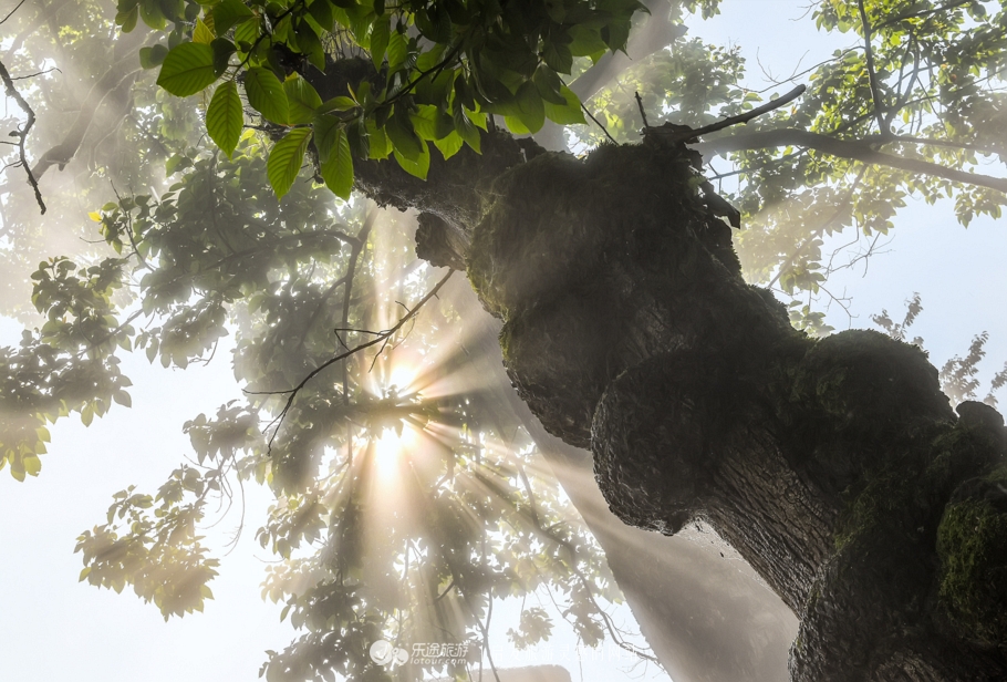雨过天晴云破出自哪里,雨过天晴云破出处
