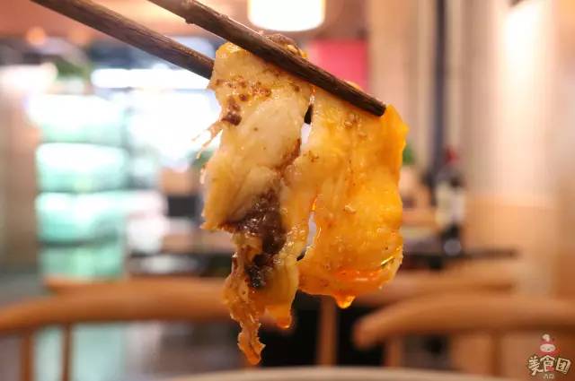 史无前例！秒杀吃鱼！这锅鱼的味道，猫和你都想知道！